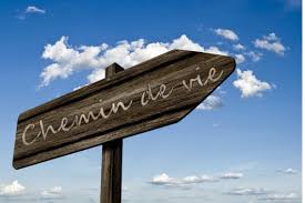 Chemin de vie